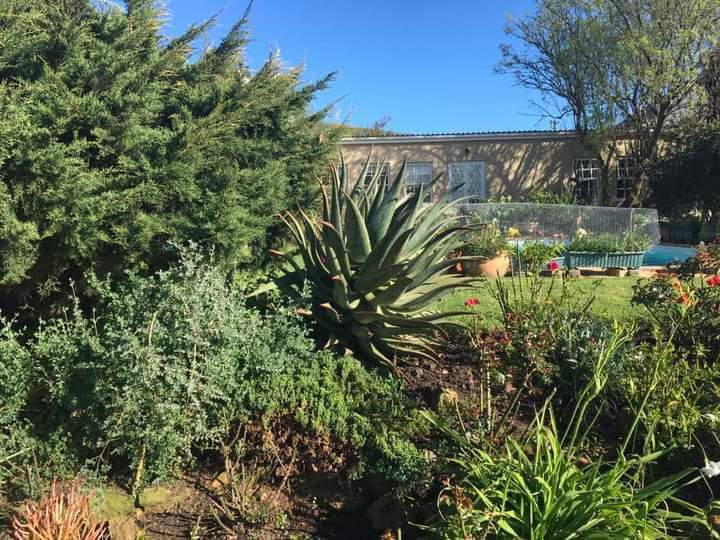 3 Bedroom Property for Sale in Bredasdorp Western Cape